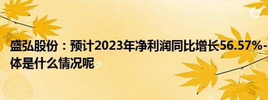 盛弘股份：预计2023年净利润同比增长56.57%-92.35% 具体是什么情况呢