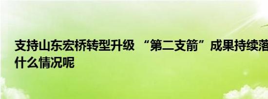 支持山东宏桥转型升级 “第二支箭”成果持续落地 具体是什么情况呢