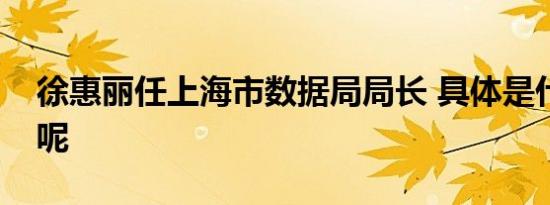 徐惠丽任上海市数据局局长 具体是什么情况呢