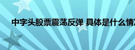 中字头股票震荡反弹 具体是什么情况呢