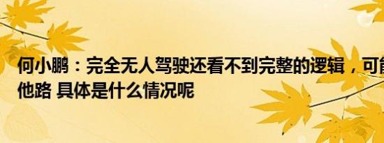 何小鹏：完全无人驾驶还看不到完整的逻辑，可能需要另寻他路 具体是什么情况呢