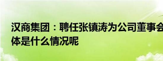 汉商集团：聘任张镇涛为公司董事会秘书 具体是什么情况呢