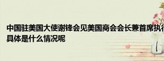 中国驻美国大使谢锋会见美国商会会长兼首席执行官克拉克 具体是什么情况呢