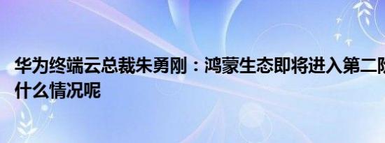 华为终端云总裁朱勇刚：鸿蒙生态即将进入第二阶段 具体是什么情况呢