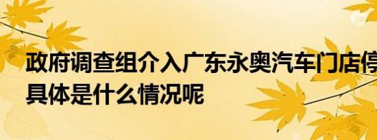 政府调查组介入广东永奥汽车门店停业事件 具体是什么情况呢