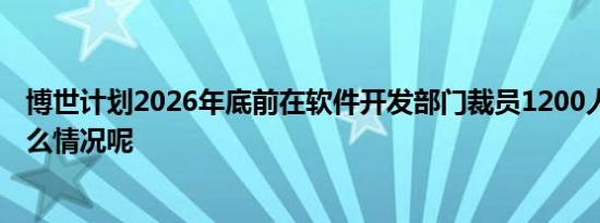 博世计划2026年底前在软件开发部门裁员1200人 具体是什么情况呢