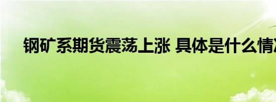 钢矿系期货震荡上涨 具体是什么情况呢