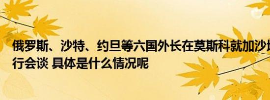 俄罗斯、沙特、约旦等六国外长在莫斯科就加沙地区局势举行会谈 具体是什么情况呢