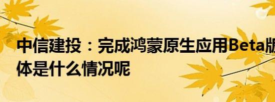 中信建投：完成鸿蒙原生应用Beta版开发 具体是什么情况呢