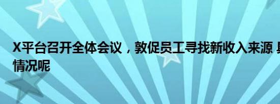 X平台召开全体会议，敦促员工寻找新收入来源 具体是什么情况呢