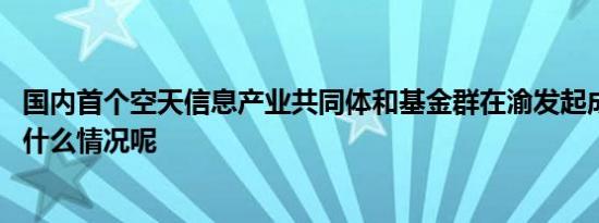 国内首个空天信息产业共同体和基金群在渝发起成立 具体是什么情况呢