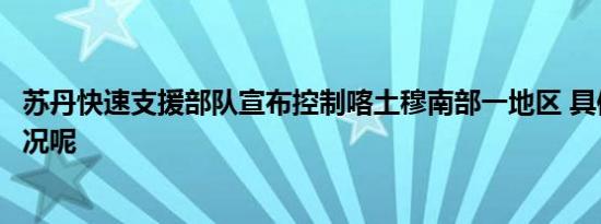 苏丹快速支援部队宣布控制喀土穆南部一地区 具体是什么情况呢