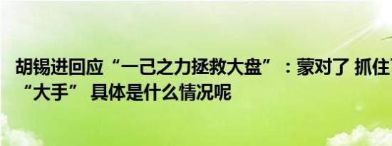 胡锡进回应“一己之力拯救大盘”：蒙对了 抓住了国家队的“大手” 具体是什么情况呢