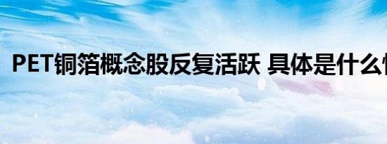 PET铜箔概念股反复活跃 具体是什么情况呢