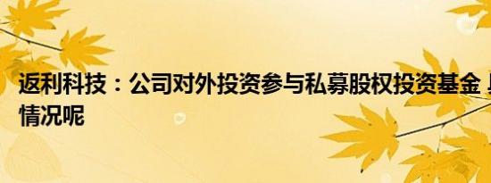 返利科技：公司对外投资参与私募股权投资基金 具体是什么情况呢