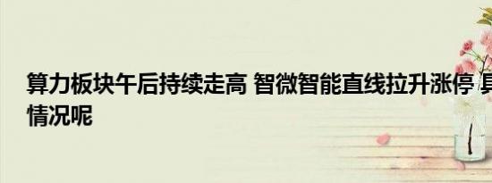 算力板块午后持续走高 智微智能直线拉升涨停 具体是什么情况呢