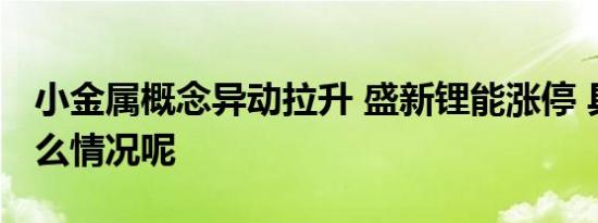 小金属概念异动拉升 盛新锂能涨停 具体是什么情况呢