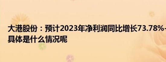 大港股份：预计2023年净利润同比增长73.78%-124.89% 具体是什么情况呢