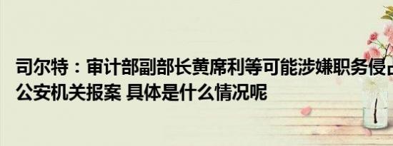 司尔特：审计部副部长黄席利等可能涉嫌职务侵占犯罪 已向公安机关报案 具体是什么情况呢