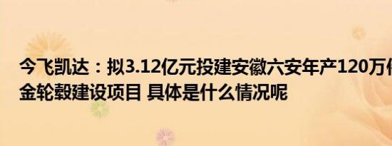 今飞凯达：拟3.12亿元投建安徽六安年产120万件汽车铝合金轮毂建设项目 具体是什么情况呢