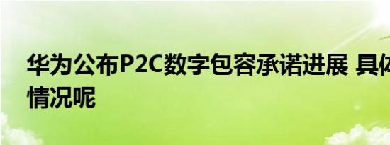 华为公布P2C数字包容承诺进展 具体是什么情况呢