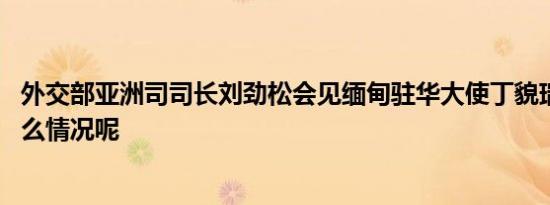 外交部亚洲司司长刘劲松会见缅甸驻华大使丁貌瑞 具体是什么情况呢