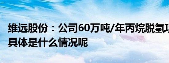 维远股份：公司60万吨/年丙烷脱氢项目投产 具体是什么情况呢