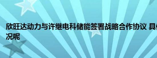 欣旺达动力与许继电科储能签署战略合作协议 具体是什么情况呢