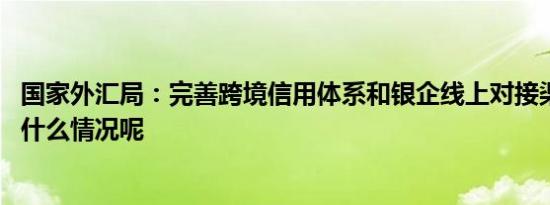 国家外汇局：完善跨境信用体系和银企线上对接渠道 具体是什么情况呢