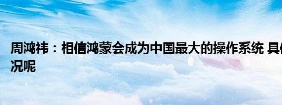 周鸿祎：相信鸿蒙会成为中国最大的操作系统 具体是什么情况呢