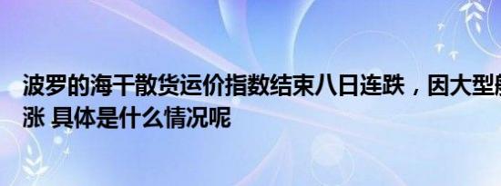 波罗的海干散货运价指数结束八日连跌，因大型船舶运费上涨 具体是什么情况呢