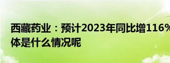 西藏药业：预计2023年同比增116%左右 具体是什么情况呢