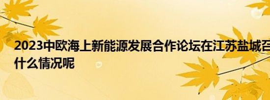 2023中欧海上新能源发展合作论坛在江苏盐城召开 具体是什么情况呢