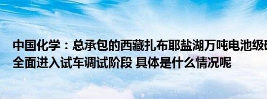 中国化学：总承包的西藏扎布耶盐湖万吨电池级碳酸锂项目全面进入试车调试阶段 具体是什么情况呢