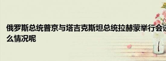 俄罗斯总统普京与塔吉克斯坦总统拉赫蒙举行会谈 具体是什么情况呢