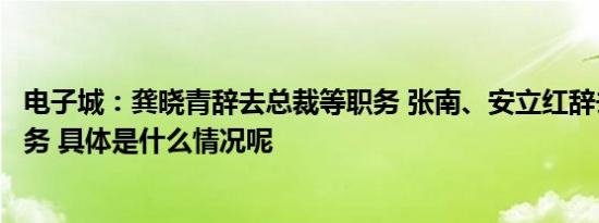 电子城：龚晓青辞去总裁等职务 张南、安立红辞去副总裁职务 具体是什么情况呢