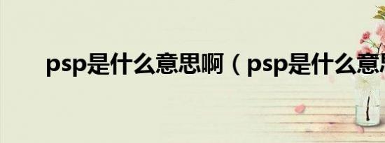 psp是什么意思啊（psp是什么意思）