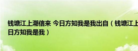 钱塘江上潮信来 今日方知我是我出自（钱塘江上潮信来 今日方知我是我）