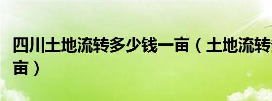 四川土地流转多少钱一亩（土地流转多少钱一亩）