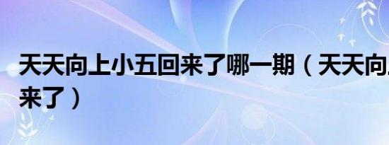 天天向上小五回来了哪一期（天天向上小五回来了）