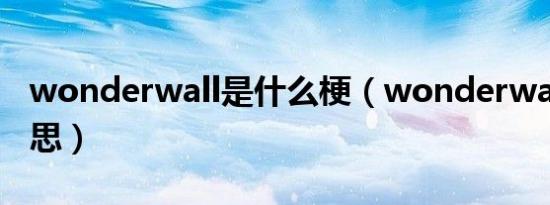 wonderwall是什么梗（wonderwall什么意思）