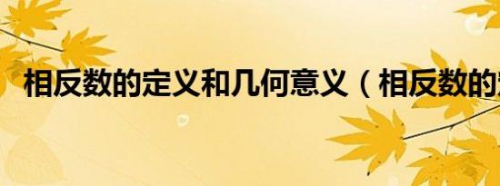 相反数的定义和几何意义（相反数的定义）