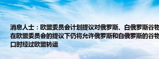 消息人士：欧盟委员会计划提议对俄罗斯、白俄罗斯谷物征收进口关税在欧盟委员会的提议下仍将允许俄罗斯和白俄罗斯的谷物在其他地方出口时经过欧盟转运