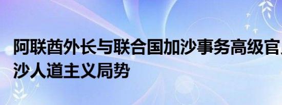 阿联酋外长与联合国加沙事务高级官员讨论加沙人道主义局势