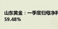 山东黄金：一季度归母净利润7亿元同比增长59.48%