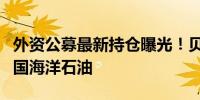 外资公募最新持仓曝光！贝莱德、富达重仓中国海洋石油