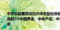 中字头股票异动拉升中色股份涨超6%中交地产、中信海直涨超5%中国黄金、中体产业、中视传媒、中国汽研纷纷上涨