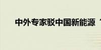 中外专家驳中国新能源“产能过剩论”