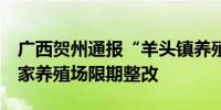 广西贺州通报“羊头镇养殖场排污”：责令6家养殖场限期整改