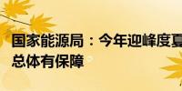 国家能源局：今年迎峰度夏期间全国电力供应总体有保障